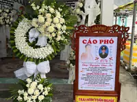Hình ảnh hoa giao hàng thực tế