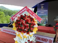 Hình ảnh hoa giao hàng thực tế