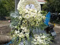 Hình ảnh hoa giao hàng thực tế
