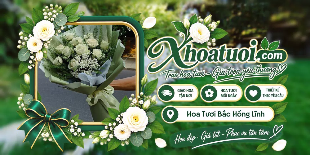 Hoa tươi Phường Bắc Hồng Lĩnh, Hà Tĩnh giao tận nơi và thiết kế theo yêu cầu