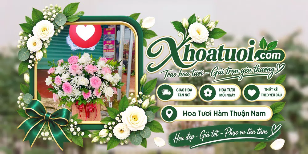 Hoa tươi Hàm Thuận Nam Bình Thuận, Lâm Đồng giao tận nơi và thiết kế theo yêu cầu