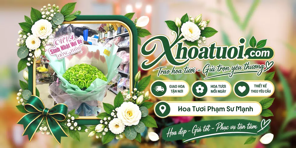 Hoa tươi Phường Phạm Sư Mạnh, Hải Phòng giao tận nơi và thiết kế theo yêu cầu