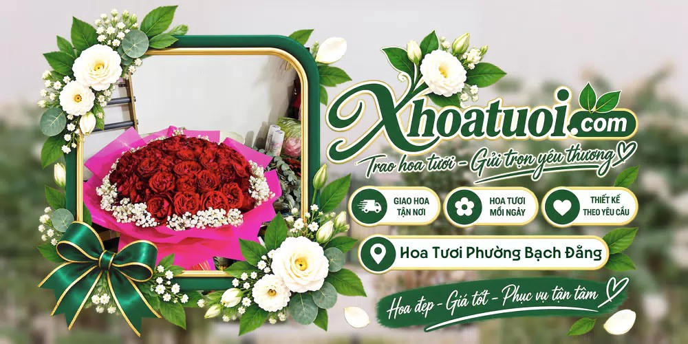 Hoa tươi Phường Bạch Đằng, Hải Phòng giao tận nơi và thiết kế theo yêu cầu