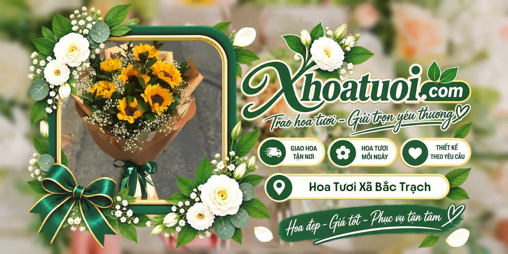 Hoa tươi Xã Bắc Trạch, Quảng Trị giao tận nơi và thiết kế theo yêu cầu