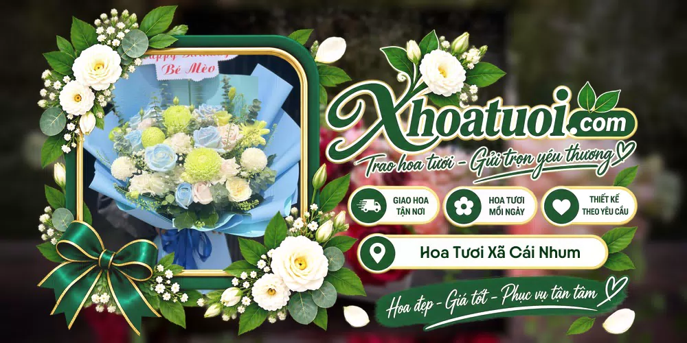 Hoa tươi Xã Cái Nhum, Vĩnh Long giao tận nơi và thiết kế theo yêu cầu