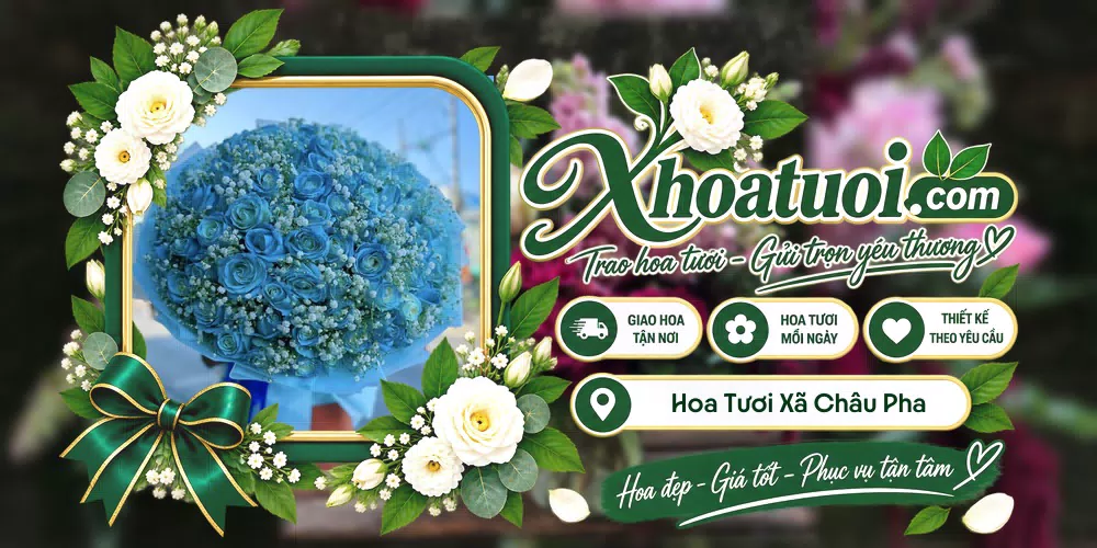 Hoa tươi Xã Châu Pha, Hồ Chí Minh giao tận nơi và thiết kế theo yêu cầu