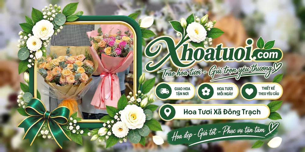 Hoa tươi Xã Đông Trạch, Quảng Trị giao tận nơi và thiết kế theo yêu cầu