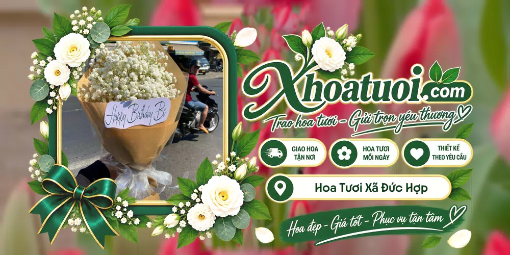 Hoa tươi Xã Đức Hợp, Hưng Yên giao tận nơi và thiết kế theo yêu cầu