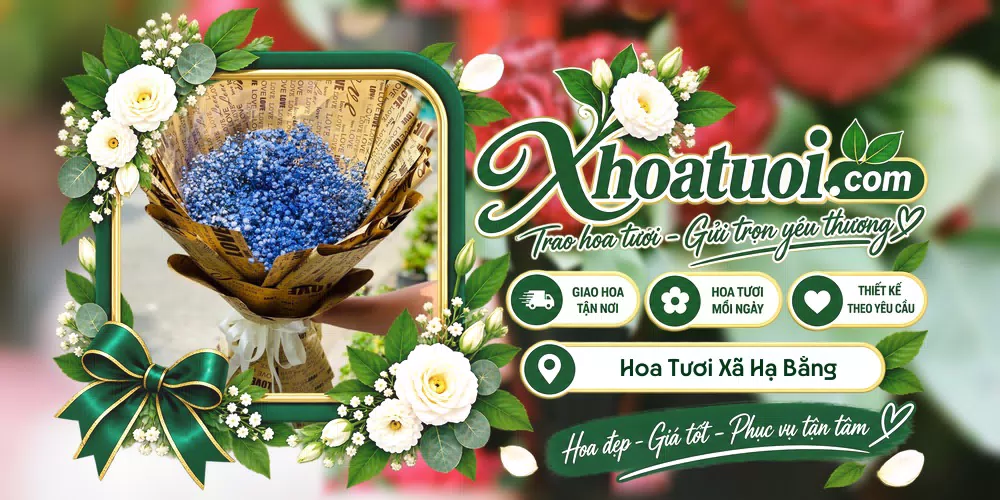 Hoa tươi Xã Hạ Bằng, Hà Nội giao tận nơi và thiết kế theo yêu cầu