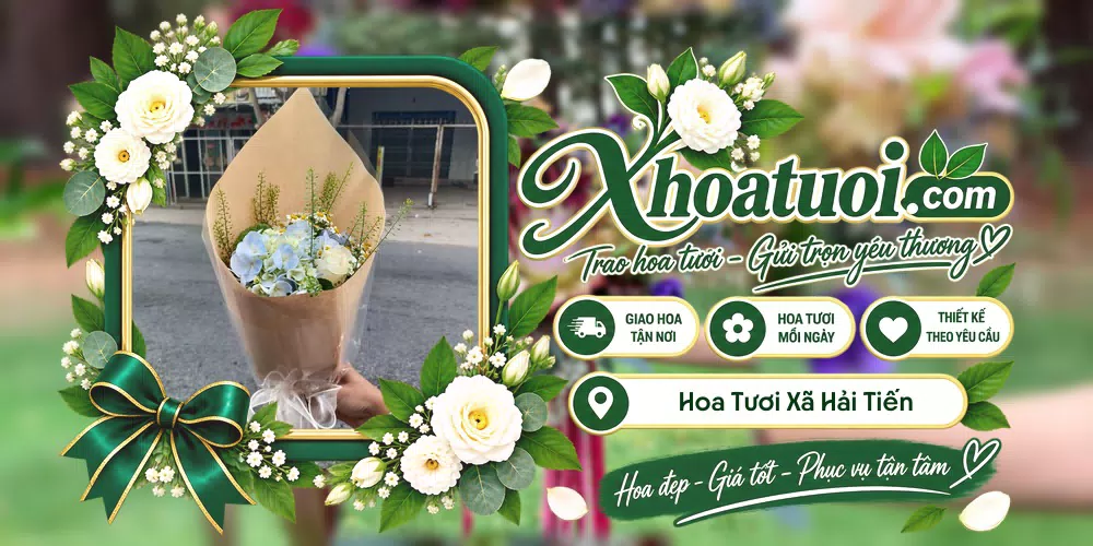 Hoa tươi Xã Hải Tiến, Ninh Bình giao tận nơi và thiết kế theo yêu cầu