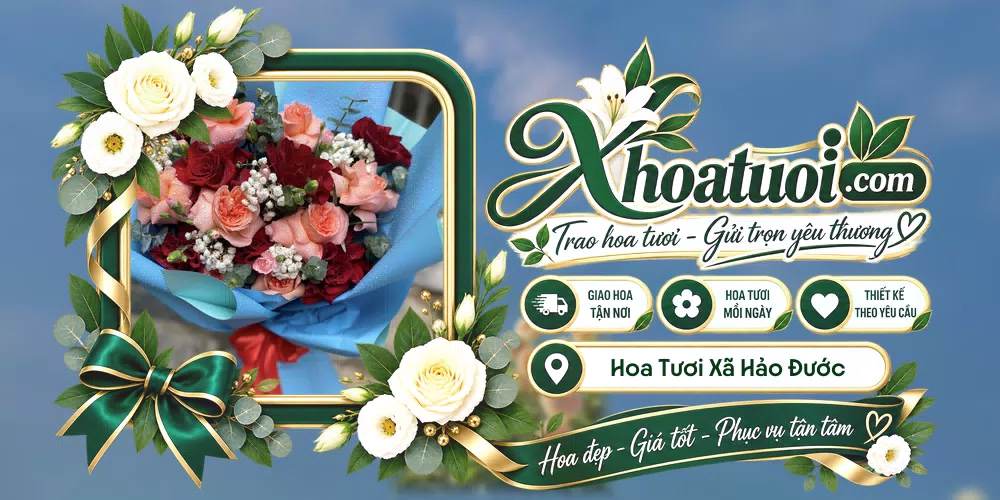 Hoa tươi Xã Hảo Đước, Tây Ninh giao tận nơi và thiết kế theo yêu cầu