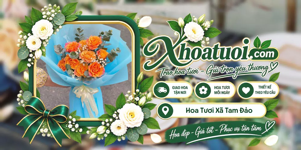 Hoa tươi Xã Tam Đảo, Phú Thọ giao tận nơi và thiết kế theo yêu cầu