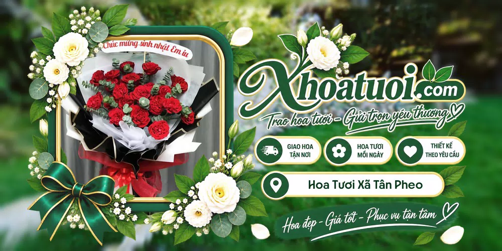 Hoa tươi Xã Tân Pheo, Phú Thọ giao tận nơi và thiết kế theo yêu cầu
