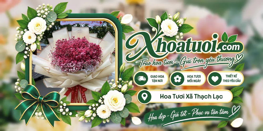 Hoa tươi Xã Thạch Lạc, Hà Tĩnh giao tận nơi và thiết kế theo yêu cầu
