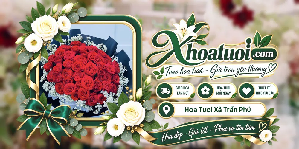 Hoa tươi Xã Trần Phú, Hải Phòng giao tận nơi và thiết kế theo yêu cầu
