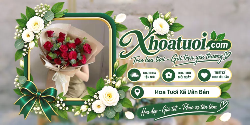 Hoa tươi Xã Vân Bán, Phú Thọ giao tận nơi và thiết kế theo yêu cầu