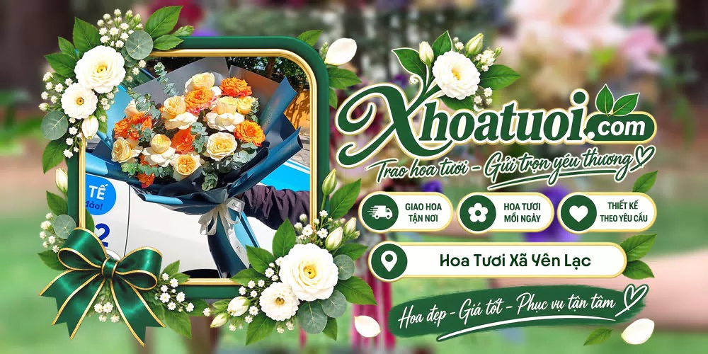 Hoa tươi Xã Yên Lạc, Phú Thọ giao tận nơi và thiết kế theo yêu cầu