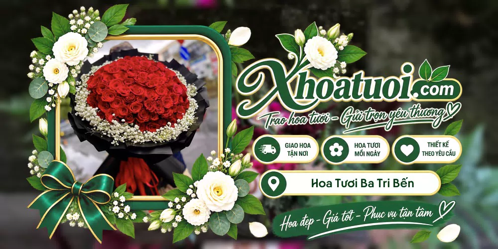 Mẫu hoa tươi đặt giao tại Ba Tri