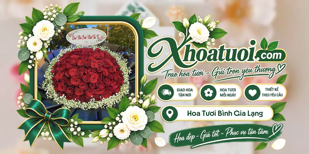 Mẫu hoa tươi đặt giao tại Bình Gia, Lạng Sơn