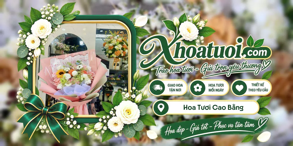Mẫu hoa tươi đặt giao tại Cao Bằng