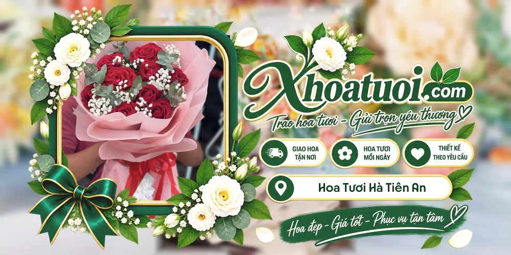 Mẫu hoa tươi đặt giao tại Hà Tiên, An Giang