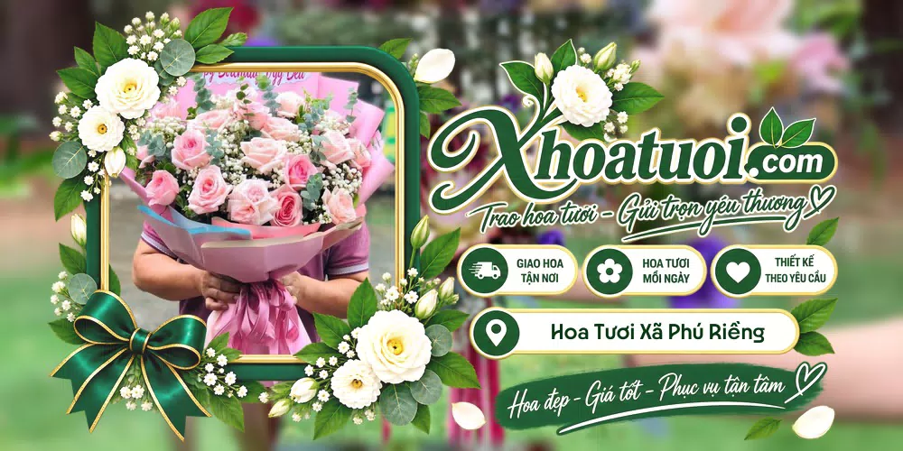 Shop hoa tươi Xã Phú Riềng, Đồng Nai hỗ trợ chọn mẫu theo dịp và nhu cầu