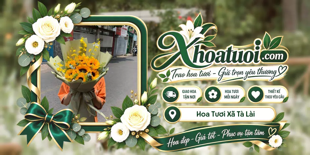 Mẫu hoa tươi đặt giao tại Xã Tà Lài, Đồng Nai