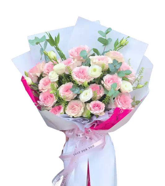 Bó Hoa Cẩm Chướng Hồng phối Cát Tường Trắng