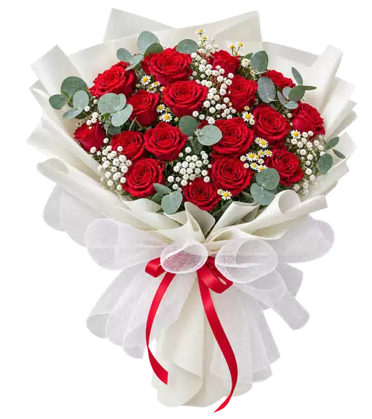 Bó Hoa Hồng Đỏ Gói Trắng (Bó lớn) – Mẫu 0528