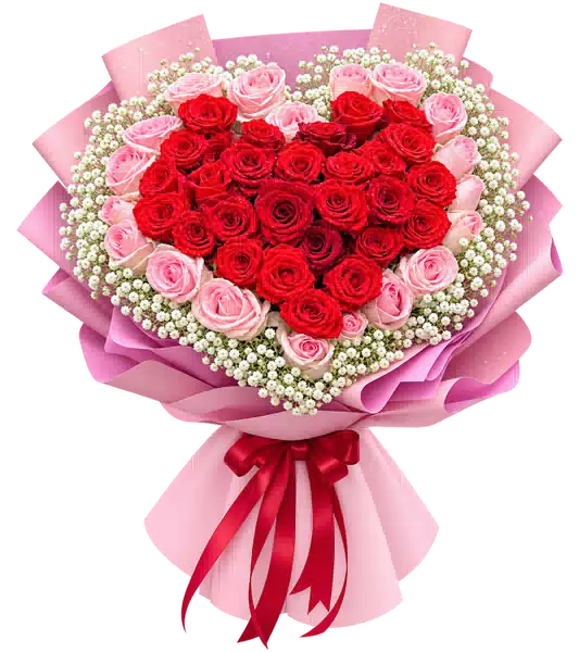 Bó Hoa Hồng Đỏ Hồng Xếp Trái Tim (Theo mẫu) – Mẫu 0469