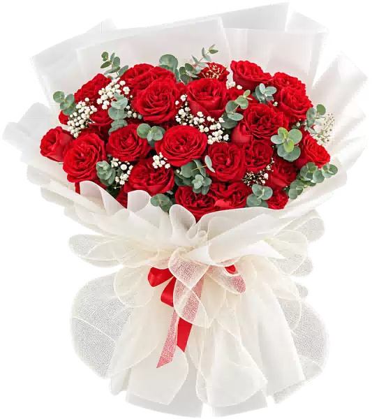 Bó Hoa Hồng Đỏ Phối Hoa Phụ (Theo mẫu) – Mẫu 0570
