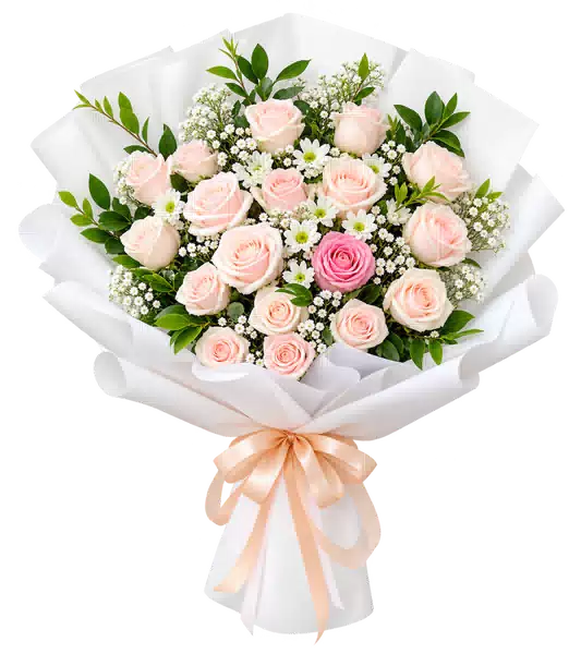 Bó Hoa Hồng Phấn Phối Cúc Trắng Gói Trắng