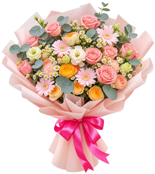 Bó Hoa Hồng Phấn Phối Đồng Tiền