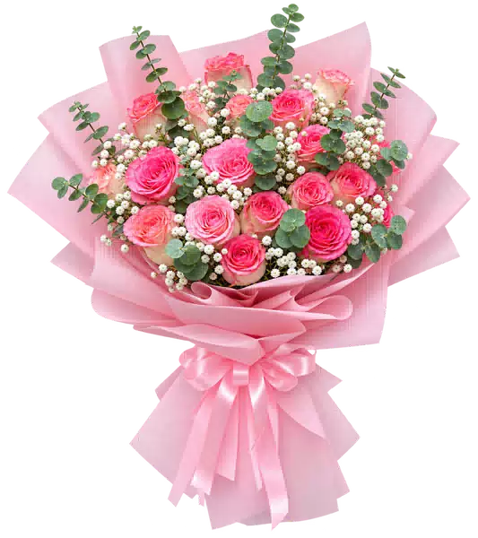 Bó Hoa Hồng Phấn Viền Đậm