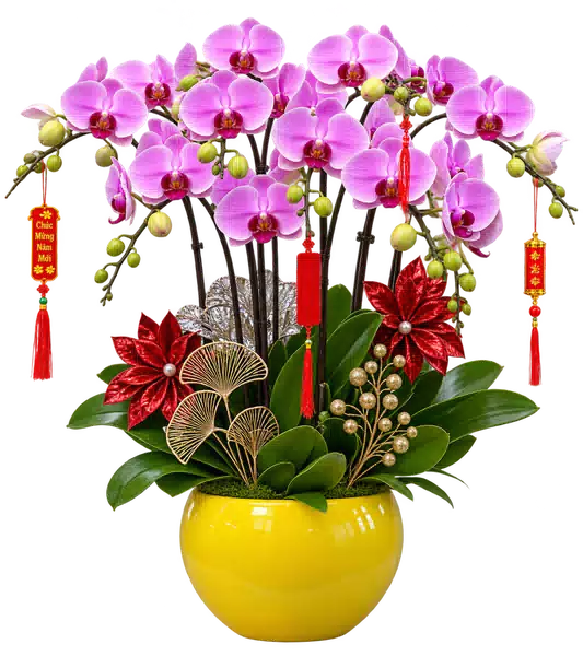 Chậu Lan Hồ Điệp Hồng (Theo mẫu) – Mẫu 1636