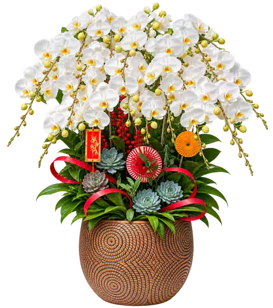 Chậu Lan Hồ Điệp Trắng (Theo mẫu) – Mẫu 1563