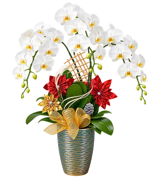 Chậu Lan Hồ Điệp Trắng (Theo mẫu) – Mẫu 1625