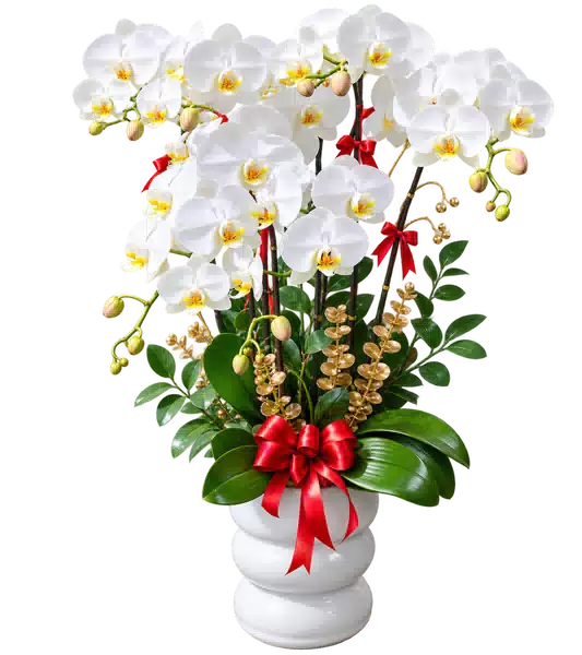 Chậu Lan Hồ Điệp Trắng (Theo mẫu) – Mẫu 1515
