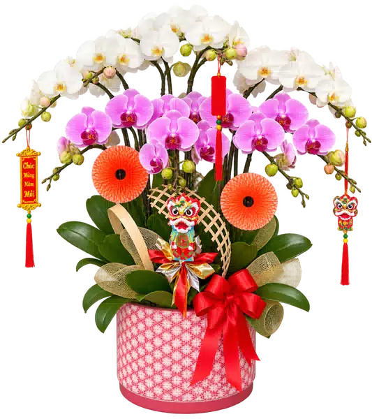 Chậu Lan Hồ Điệp Trắng Và Hồng (Theo mẫu) – Mẫu 1632