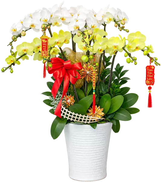 Chậu Lan Hồ Điệp Trắng Và Vàng (Theo mẫu) – Mẫu 1618