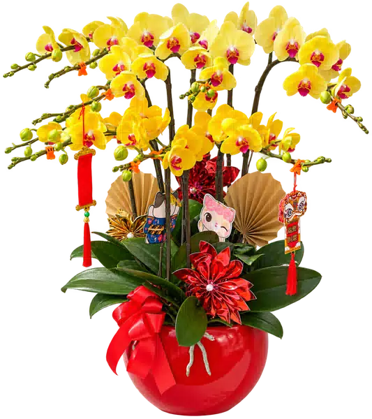 Chậu Lan Hồ Điệp Vàng (Theo mẫu) – Mẫu 1621