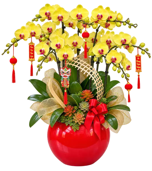 Chậu Lan Hồ Điệp Vàng (Theo mẫu) – Mẫu 1633