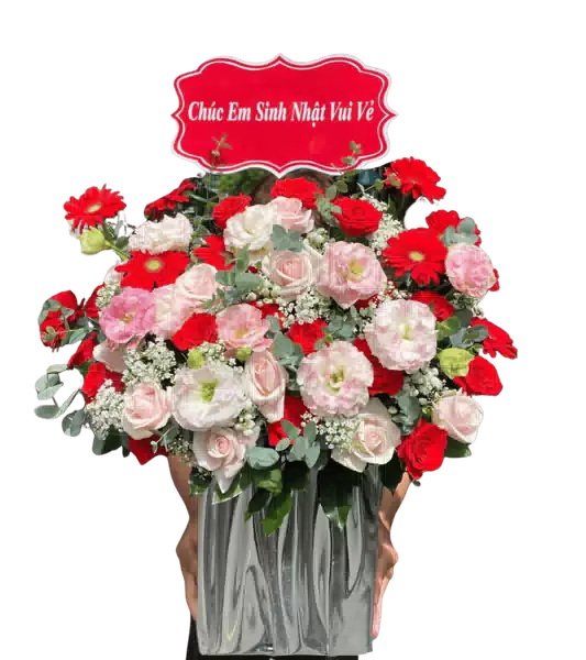 Hộp Hoa Hồng Đỏ phối Đồng Tiền Đỏ