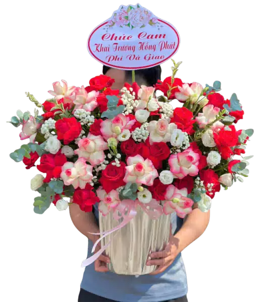 Hộp Hoa Hồng Đỏ phối Lan Cymbidium Hồng