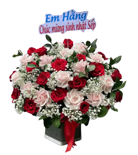 Hộp Hoa Hồng Đỏ và Hồng Phấn phối Baby Trắng cùng