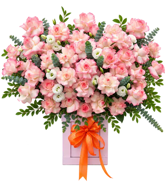 Hộp Hoa Hồng Tông Hồng Pastel (Tiêu chuẩn) – Mẫu 0699