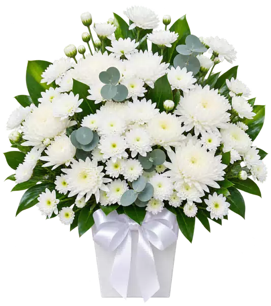 Hộp Hoa Viếng Cúc Trắng (Tiêu chuẩn) – Mẫu 1203