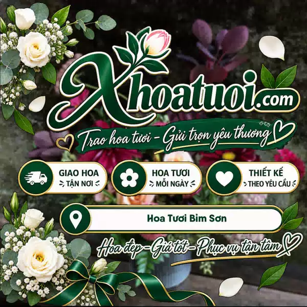 Shop Hoa Tươi Bỉm Sơn, Thanh Hóa - Đặt Hoa 247