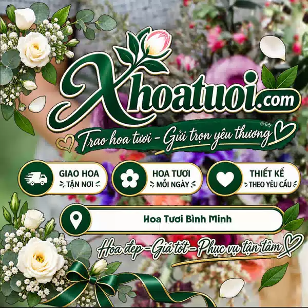 Shop Hoa Tươi Bình Minh, Vĩnh Long - Đặt Hoa 247