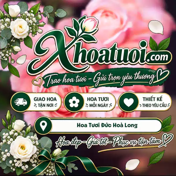Shop Hoa Tươi Đức Hoà Long An, Tây Ninh - Đặt Hoa Giao Nhanh